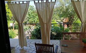 Apartments Bor